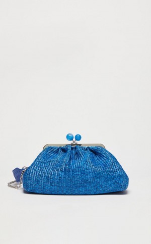 Max Mara Medium Pasticcinoin Raffia Weekend Bag Blau | MMR594142