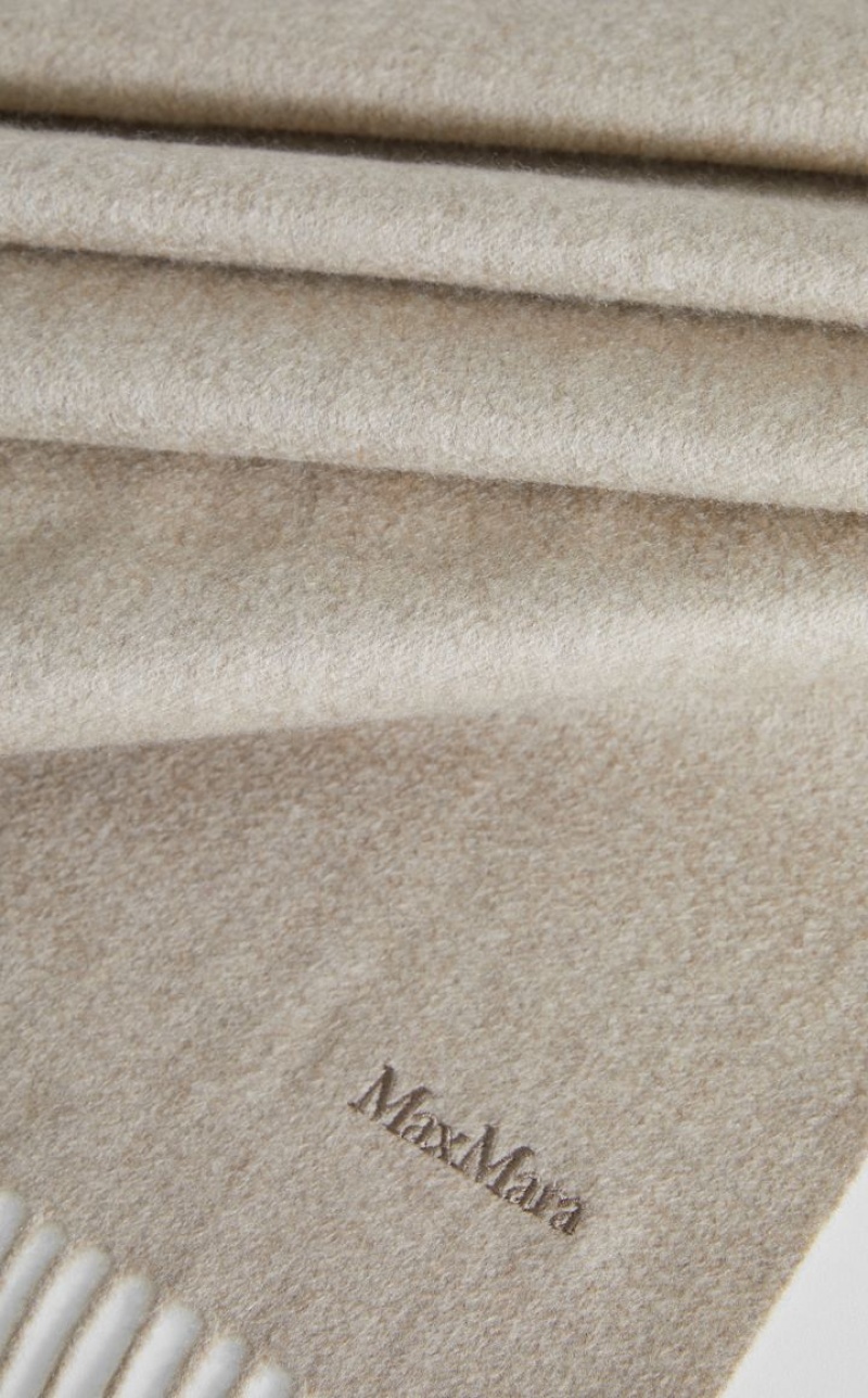 Max Mara Cashmere Stole With Embroidery Schals Beige | MMR594279